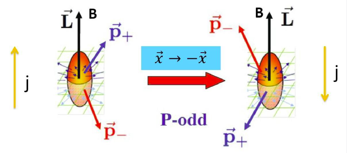 http://physics.ustc.edu.cn/upload_files/article/23/201401/1_20140121000107_etxgt.jpg